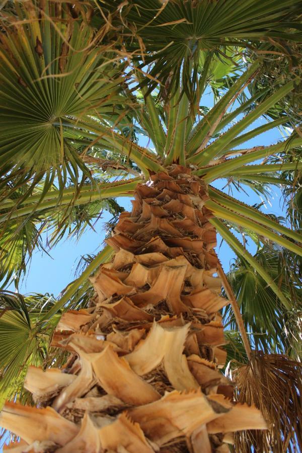 Sud Vacances Montels  ภายนอก รูปภาพ